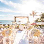 Have a Wedding in Hawaii