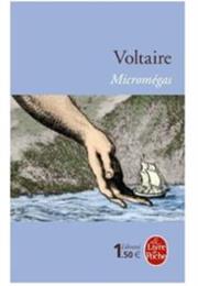 Micromégas