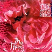 Siouxsie and the Banshees- The Thorn
