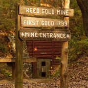 Reed&#39;s Gold Mine