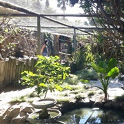 Visit the World of Birds