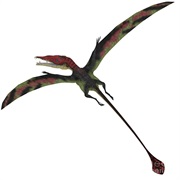 Eudimorphodon