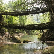Living Root Bridges, Meghalaya, India