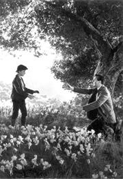 How Green Was My Valley