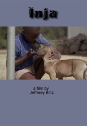 Dog (2002)