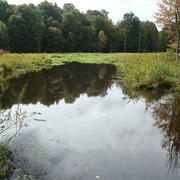 Titus and Wattsburg Bogs