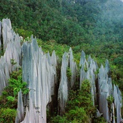 Gunung Mulu National Park