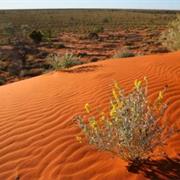 Welford National Park (QLD)