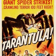 Tarantula