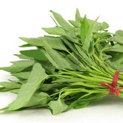 WATER SPINACH