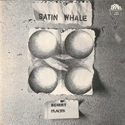 Satin Whale - Desert Places
