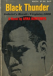 Black Thunder (Arna Bontemps)