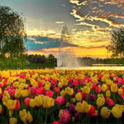 Chicago Botanic Gardens