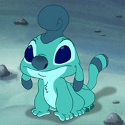 Yaarp (Experiment 613)
