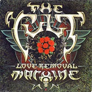 Love Removal Machine (The Cult)