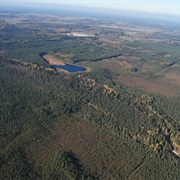 Large Kangari (Lielie Kangari)