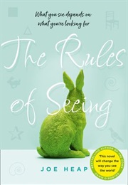 The Rules of Seeing (Joe Heap)