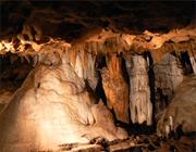 Florida Caverns Natural Area (Florida)