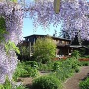 Hollyhock Retreat, Cortez Island (BC)