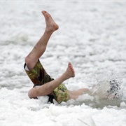 Polar Bear Plunge