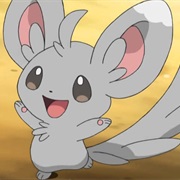 Minccino