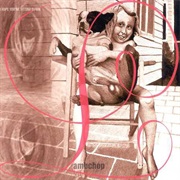 Lambchop - I Hope You're Sitting Down [Aka Jack's Tulips]