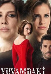 Yuvamdaki Dusman (2017)