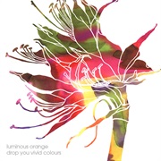 Luminous Orange - Drop You Vivid Colours