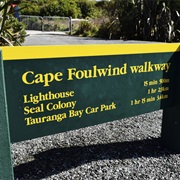 Cape Foulwind New Zealand