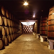 Visitar Caves Do Vinho Do Porto