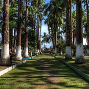 Limon Centro, Costa Rica