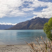 Twelve Mile Delta Campsite