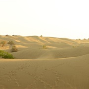 Khuri Sand Dunes Jaisalmer