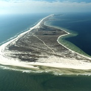 Dr. Julian G. Bruce St. George Island State Park, Florida