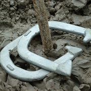 Horseshoes