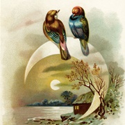 Bird Moon