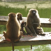 Le Refuge De L'arche, Chateau-Gontier