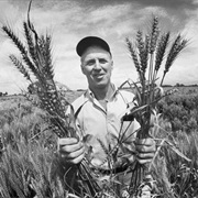Norman Borlaug
