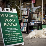 Walden Pond Books, Oakland CA