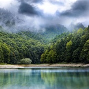 Biogradska Gora NP, Montenegro