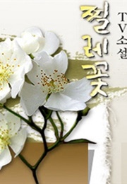 TV Novel : Briar Flower (2003)