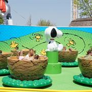 Woodstock's Whirlybirds