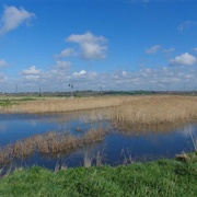 Bowers Marsh