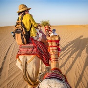 The Desert - A Majestic Landscape