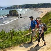 Follow the Camino De Santiago, Spain