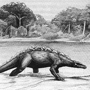 Mbielu-Mbielu-Mbielu