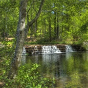 Sesquicentennial State Park, South Carolina