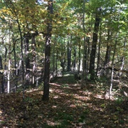 Governor Knowles State Forest, Wisconsin