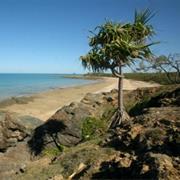Cape Palmerston National Park (QLD)