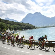 Witness the Tour De France